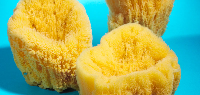 Deco grass sponges