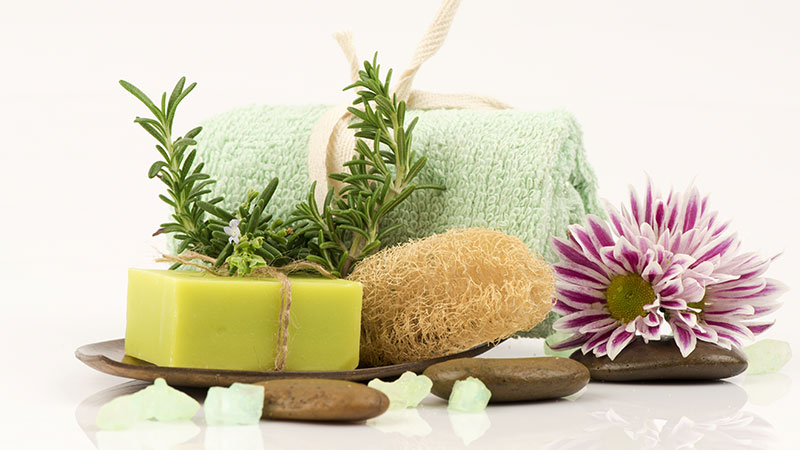 Honeycomb Sponges Wholesalers, Grass Sponges Wholesalers, Hardhead Sponges Wholesalers, Sea Sponges Processors, Natural Sponges Processors, Coral Reefs Processors, Deco Grass Processors, Silky Grass Processors, Silk Sponges Processors, Wool Sponges Processors, Yellow Sponges Processors, Olive Oil Soap Processors, Sponge Soaps Processors, Sea Sponge Soaps Processors, Honeycomb Sponges Processors, Grass Sponges Processors, Hardhead Sponges Processors