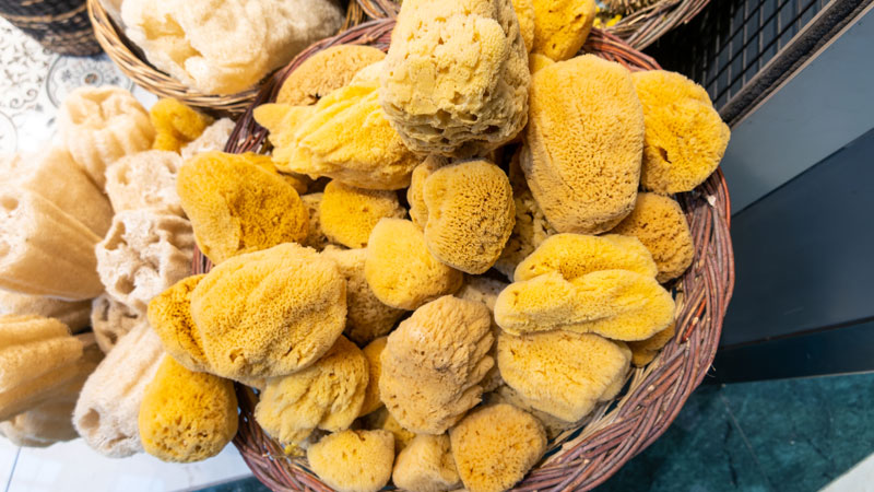 Silky Grass Wholesale, Silk Sponges Wholesale, Wool Sponges Wholesale, Yellow Sponges Wholesale, Olive Oil Soap Wholesale, Sponge Soaps Wholesale, Sea Sponge Soaps Wholesale, Honeycomb Sponges Wholesale, Grass Sponges Wholesale, Hardhead Sponges Wholesale, Sea Sponges Wholesalers, Natural Sponges Wholesalers, Coral Reefs Wholesalers, Deco Grass Wholesalers, Silky Grass Wholesalers, Silk Sponges Wholesalers, Wool Sponges Wholesalers, Yellow Sponges Wholesalers, Olive Oil Soap Wholesalers, Sponge Soaps Wholesalers, Sea Sponge Soaps Wholesalers